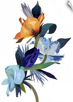 Light Blue Flowers And Orange Flowers