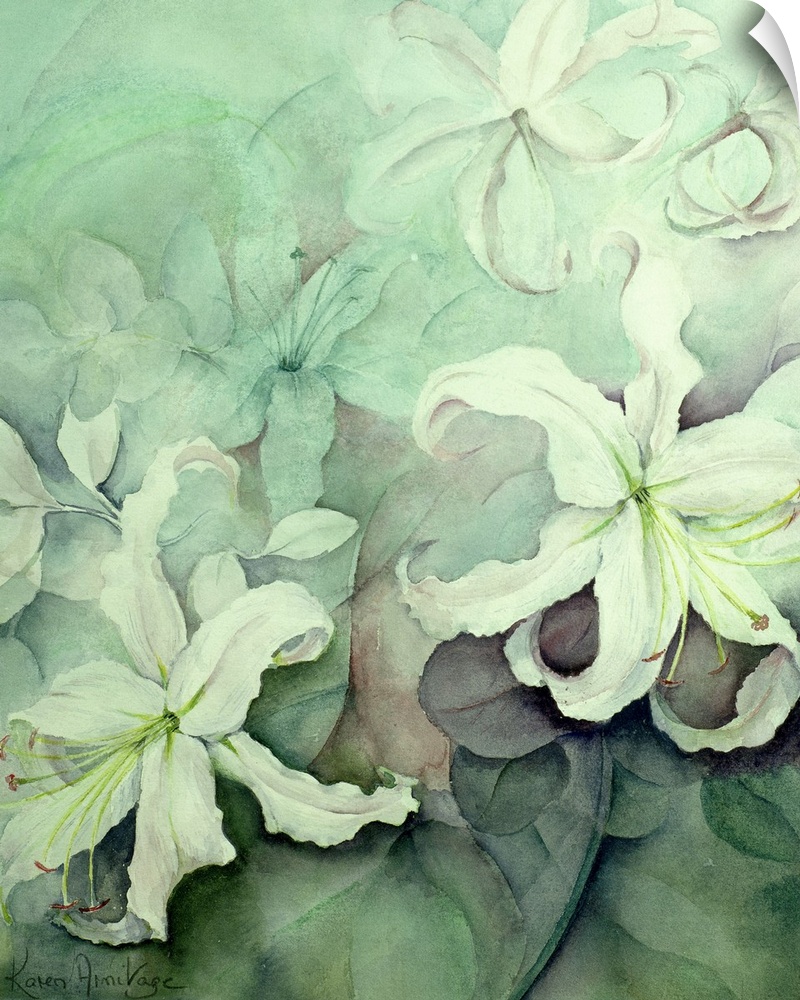 Big artwork of white Auratum lilly flowers in cooling tones.