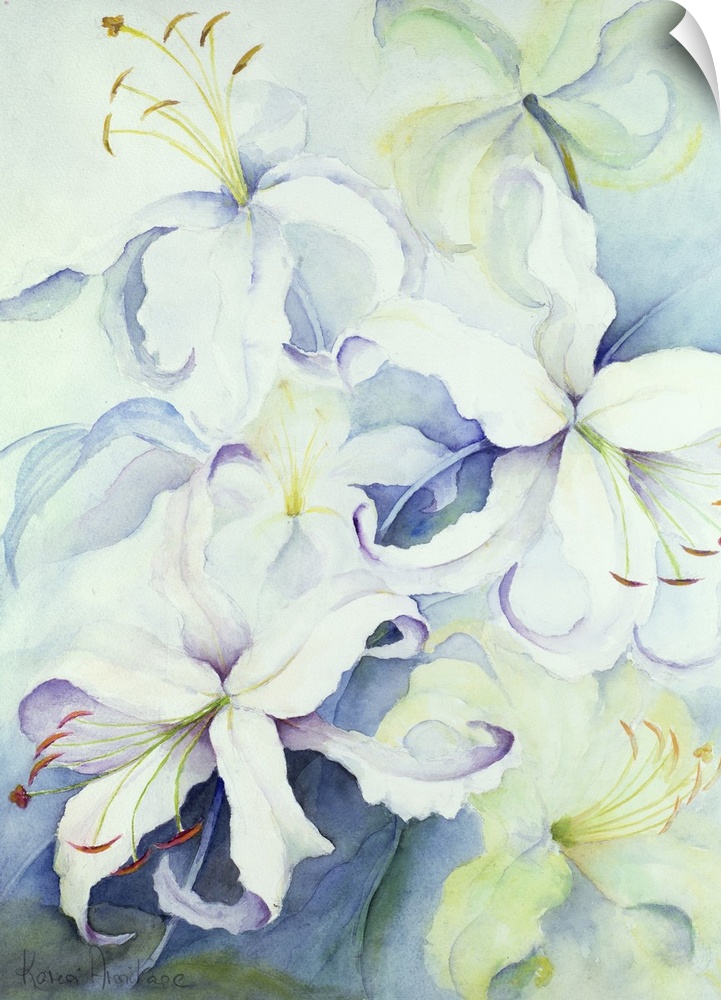 A piece of contemporary artwork that is a drawing of delicate white flowers with the center of the flowers bursting out.