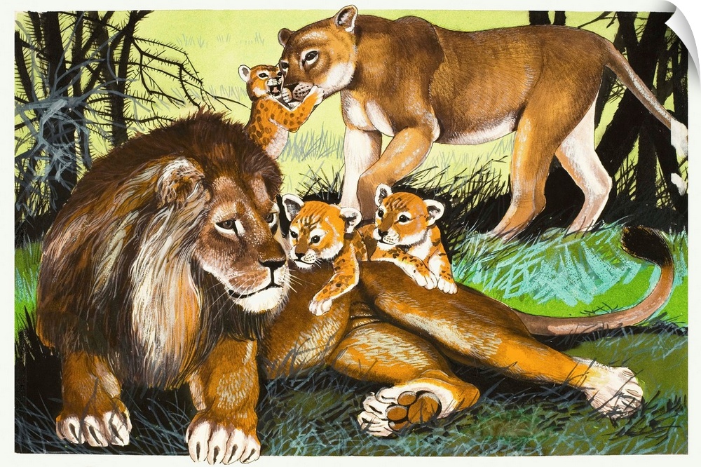 Lion, lioness and cubs. Original artwork.