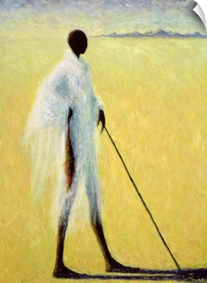 Long Shadow, 1993