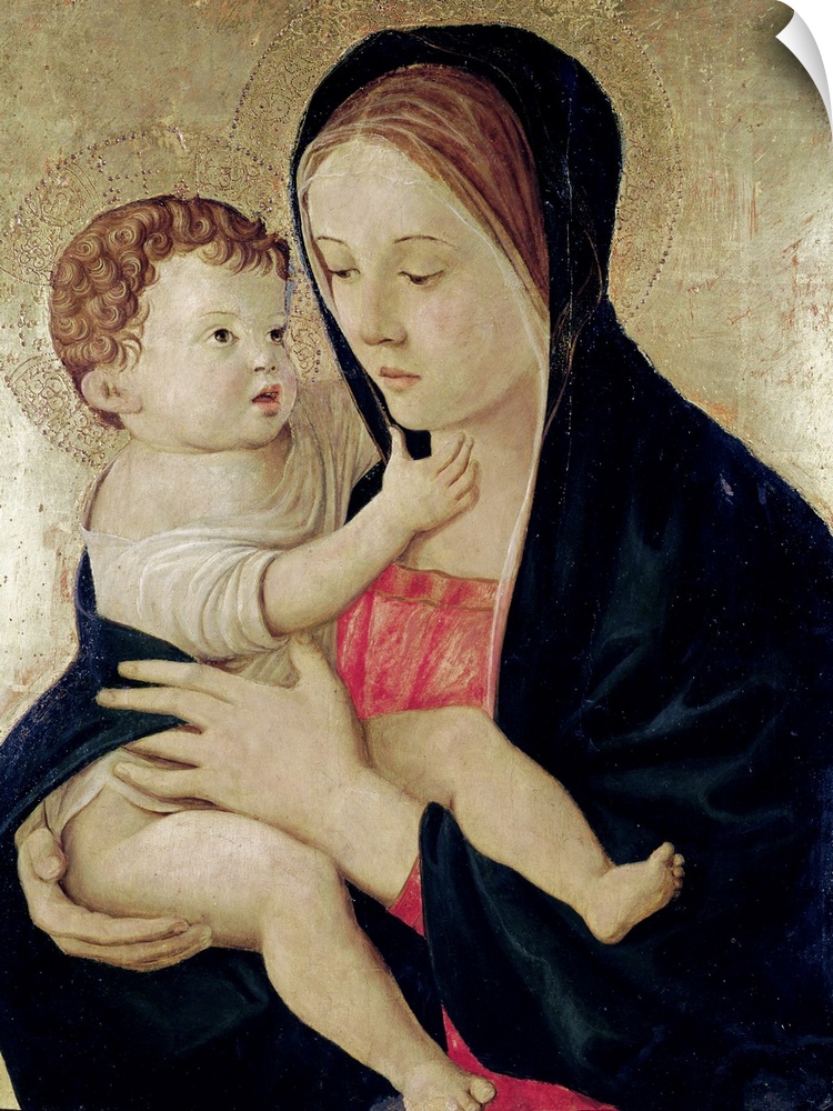 XIR162605 Madonna and Child, c.1475 (tempera on panel) by Bellini, Giovanni (c.1430-1516)