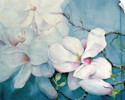 Magnolia Soulangeana (horizontal)