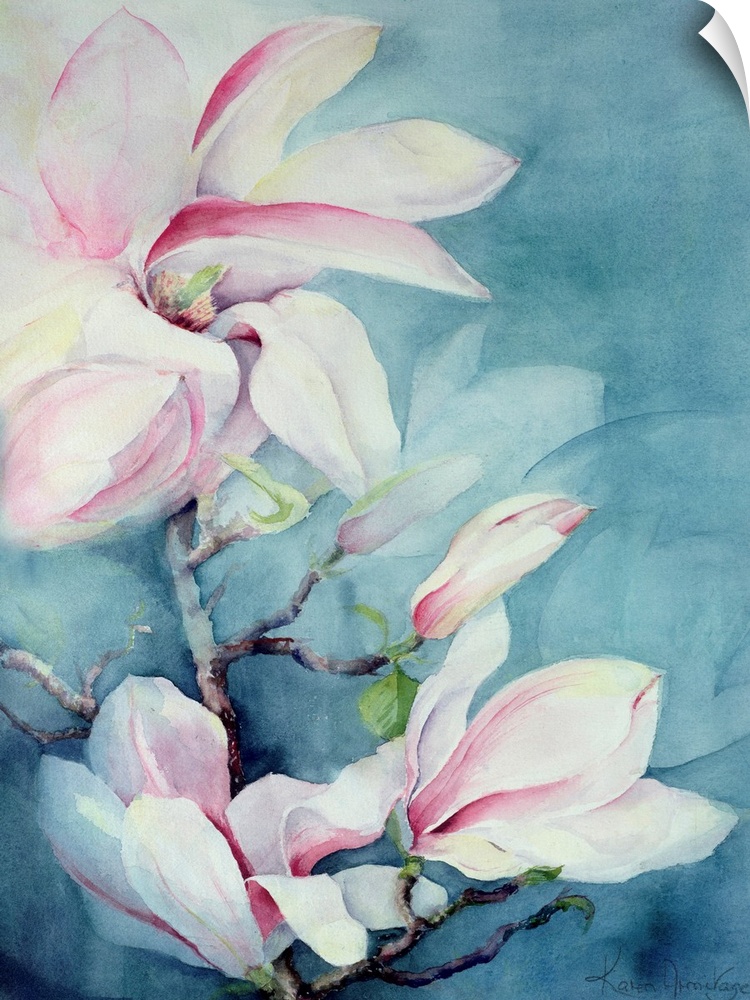 Contemporary floral painting of a branch of large petaled white flowers with soft pink accents of color on a cool blue bac...