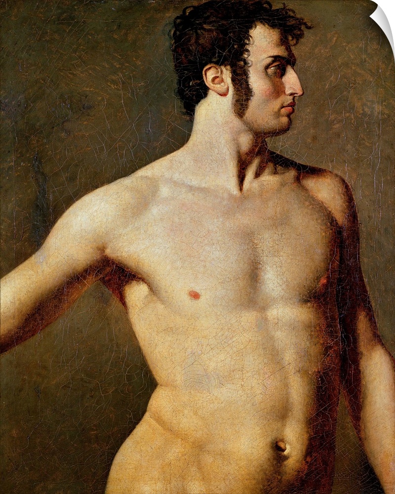 Male Torso, c.1800 (originally oil on canvas); by Ingres, Jean Auguste Dominique (1780-1867).