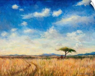 Mara Landscape, 2012