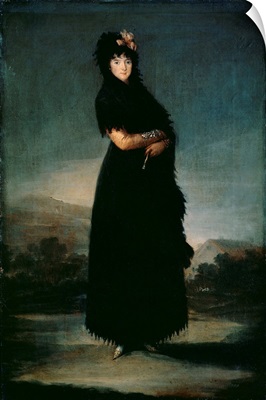 Mariana Waldstein (1763-1808) 9th Marquesa of Santa Cruz, c.1797-99