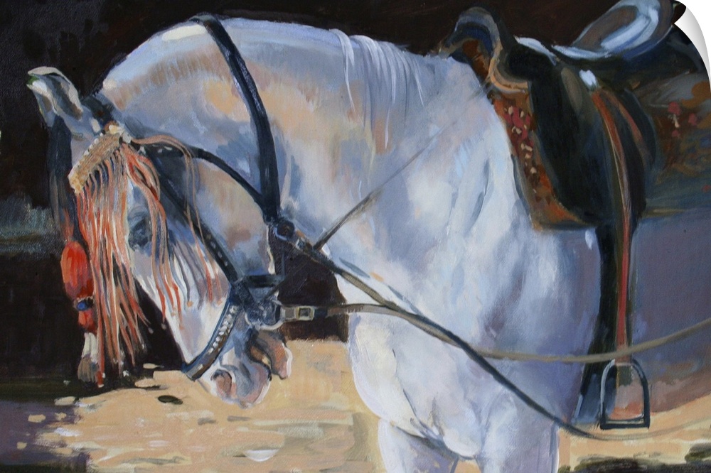 Marwari Horse, Rajasthan, 2010 (oil on canvas) by Wright, Jennifer.