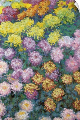 Massif de Chrysanthemes, 1897