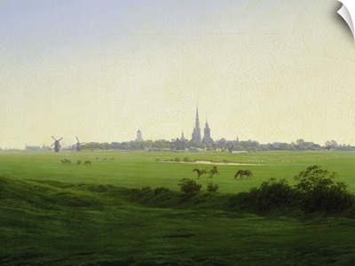Meadows near Greifswald