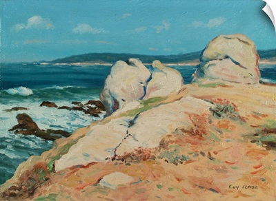 Monterey Coast