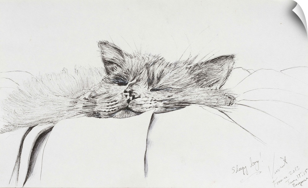 Contemporary illustration of a cat sleeping soundly.