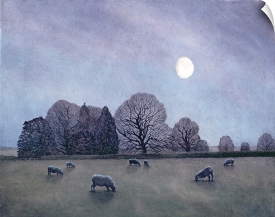 Moonlit Night, 2004