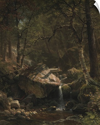 Mountain Brook, 1863
