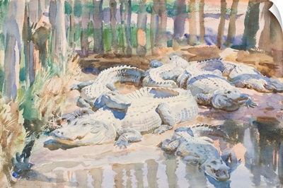 Muddy Alligators, 1917