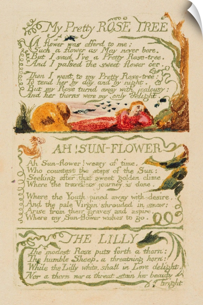 XYC225896 'My Pretty Rose Tree,' and 'Ah! Sun-flower,' and 'The Lily,' from 'Songs of Experience,' 1794 (relief etching wi...