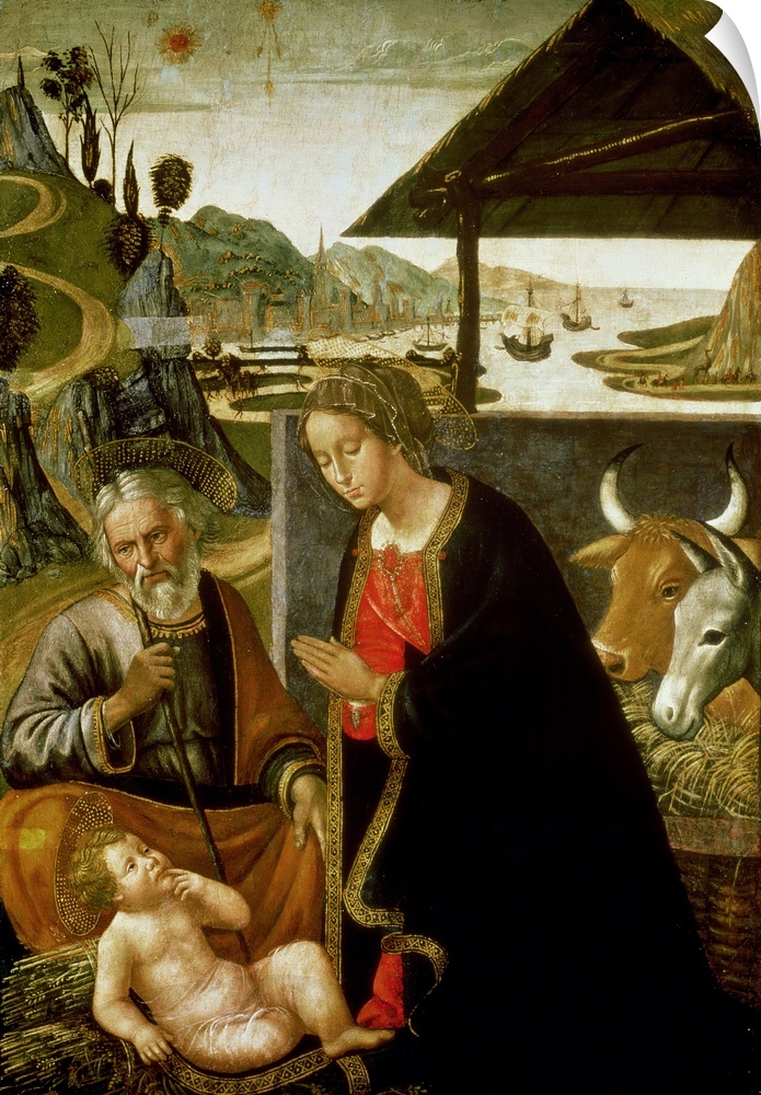 BAL74776 Nativity, c.1490 (panel)  by Mainardi, Sebastiano (1460-1513); oil on panel; 80x56 cm; Pushkin Museum, Moscow, Ru...