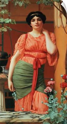 Nerissa, 1906