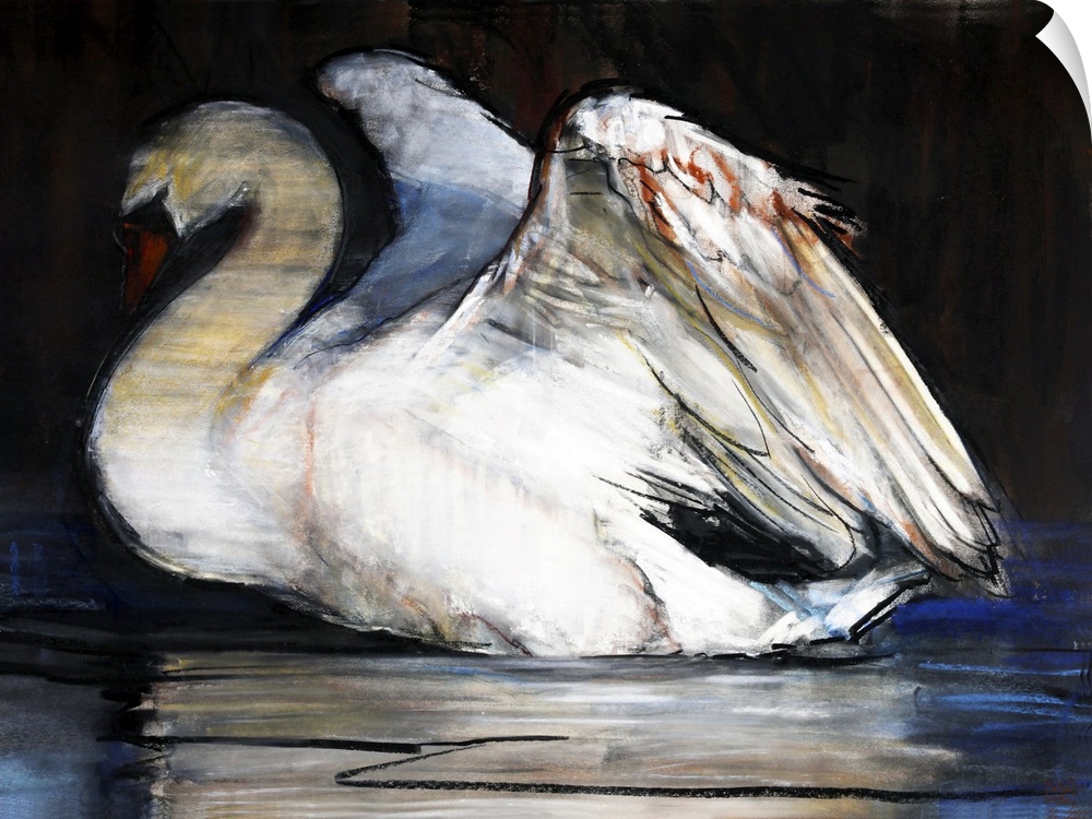 Night Swan, 2022