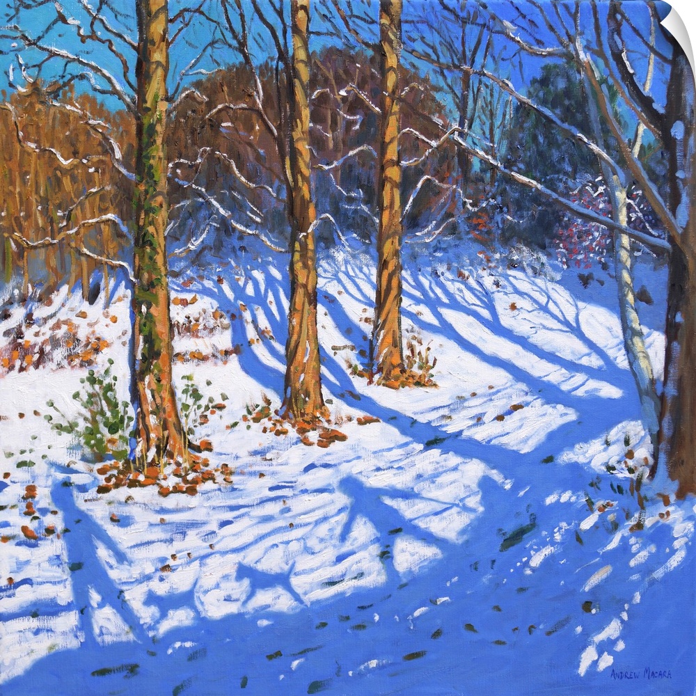 November snow, Allestree Park, Derby, 2017, originally oil on canvas.