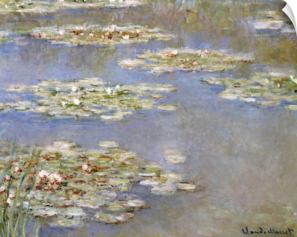 Nympheas, c.1905 (oil on canvas) by Claude Monet (1840-1926) Private Collection, The Bridgeman Art Library, Nationality: F...