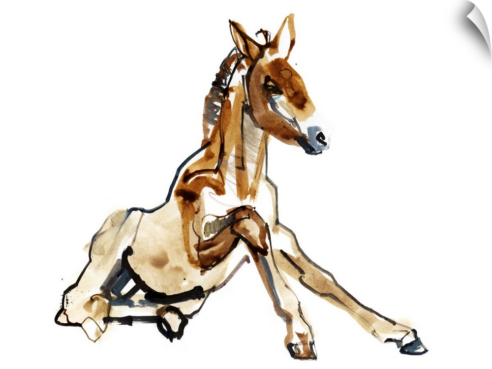 Contemporary artwork of a young Mongolian Przewalski horse trying to stand for the first time against a white background.