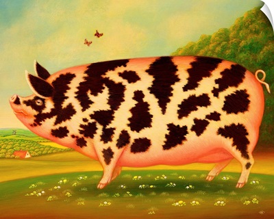 Old Spot Pig, 1998