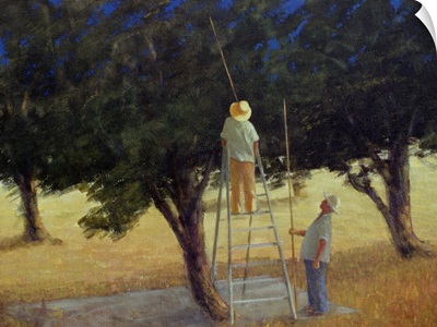 Olive Pickers, 1985
