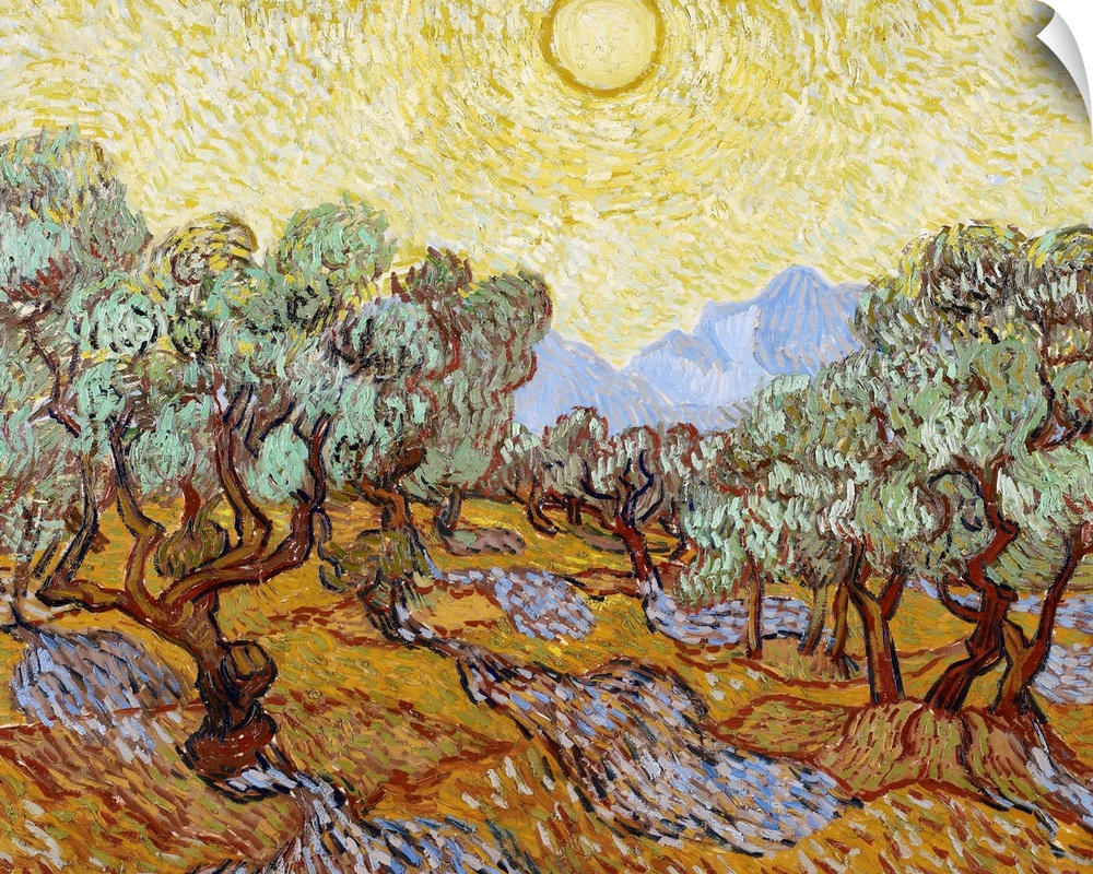 Classical painting of an olive grove with trees in rows and the blazing sun creating shadows on the ground.