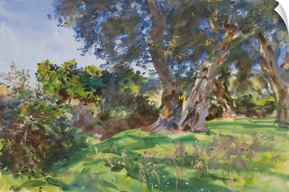 Olive Trees, Corfu, watercolor and opaque watercolor with scraping and wax resist over graphite on white, thick, rough tex...