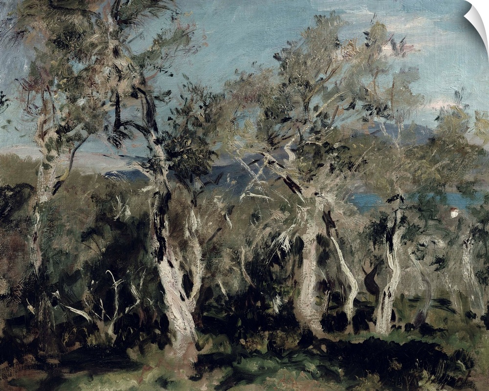Olives, Corfu, 1912