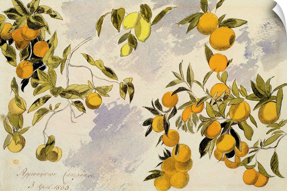 XYC136238 Orange Trees, 1863 (w/c, pen and ink over graphite on heavy wove paper)  by Lear, Edward (1812-88); watercolour,...