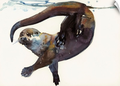 Otter Study II -'Talisker'