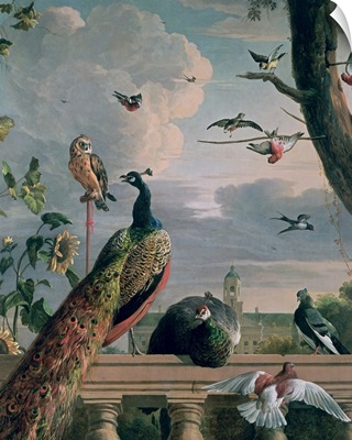 Palace of Amsterdam with Exotic Birds
