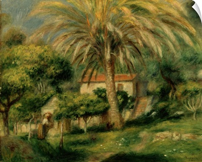 Palm Trees, 1902 (oil on canvas)