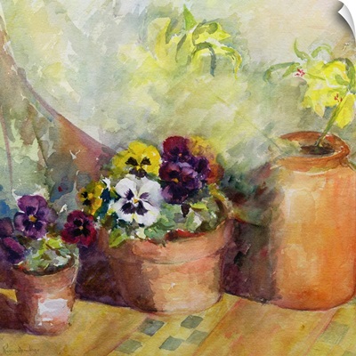 Pansies and Terracotta Pots