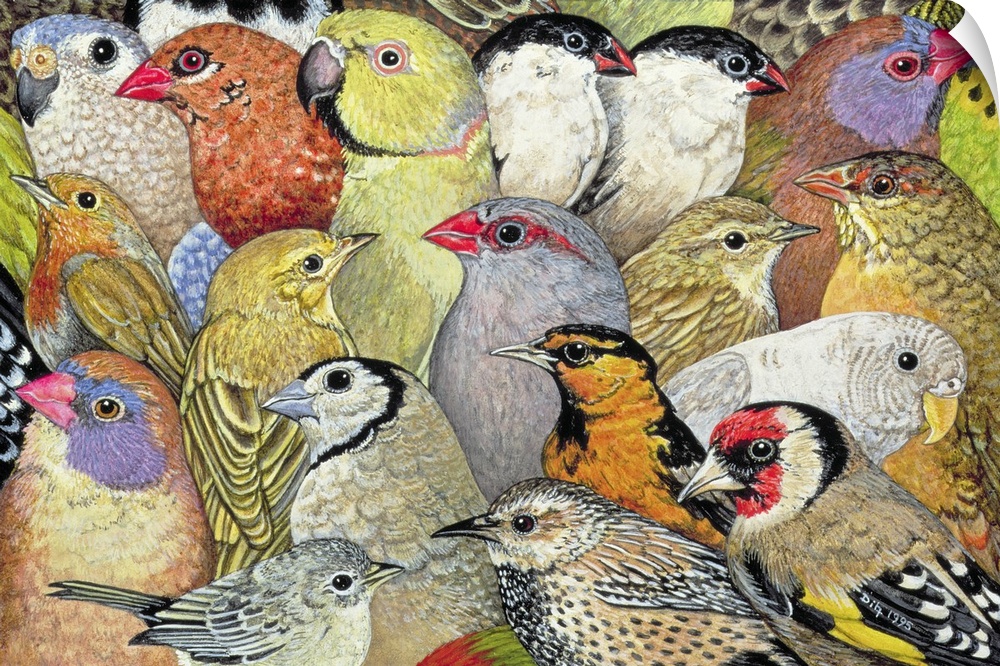 Patchwork-Birds, 1995