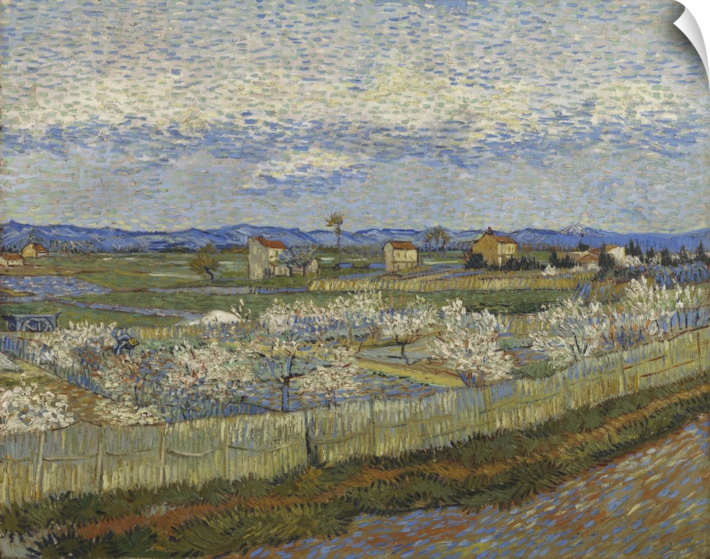 Peach Trees In Blossom, 1889