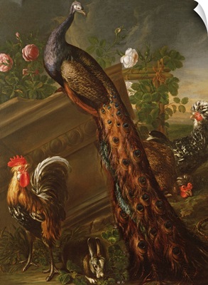 Peacock and Cockerels by David de Koninck