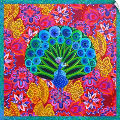 Peacock And Pattern, 2015
