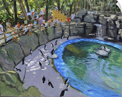 Penguin Pool, Madrid Zoo, 2015