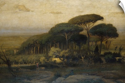 Pine Grove Of The Barberini Villa, 1876