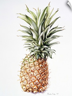 Pineapple, 1997