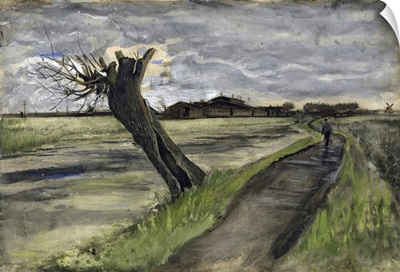 Pollard Willow (Saule Tetard), 1882