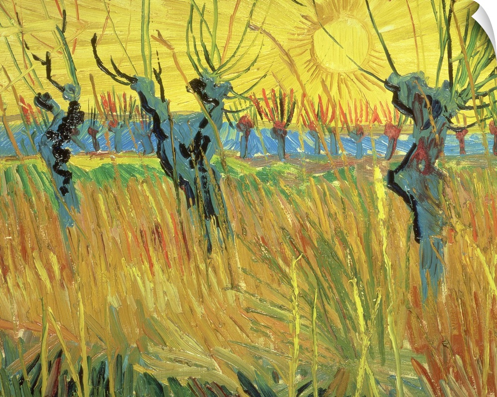 Classical art painting of willow trees sticking up in high grass as the sun sets in the background.