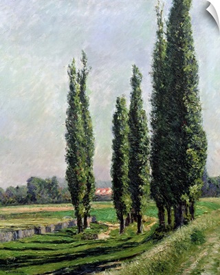 Poplars on the Riverbank at Argenteuil