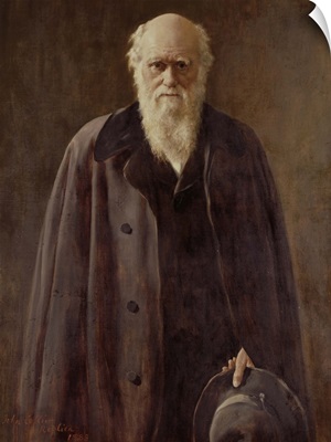Portrait of Charles Darwin (1809-1882) 1883