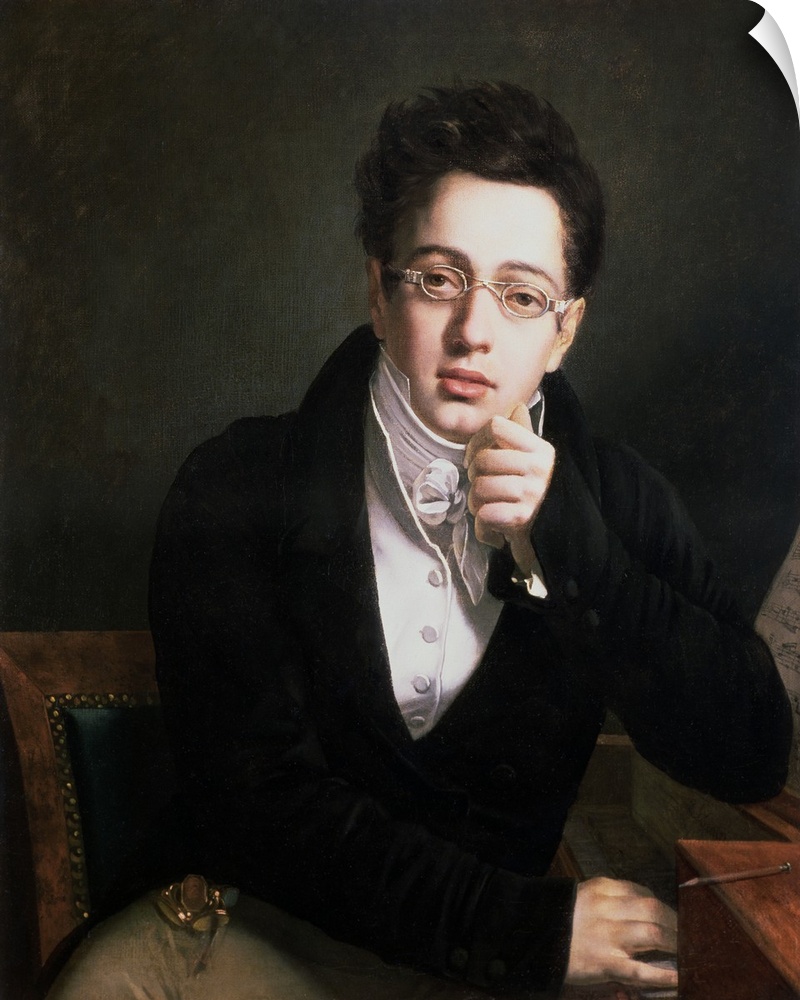 XAM77557 Portrait of Franz Schubert (1797-1828), Austrian composer, aged 17, c.1814  by Austrian School, (19th century); o...