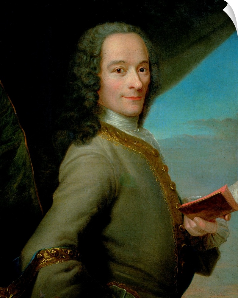 XIR154627 Portrait of the Young Voltaire (1694-1778) (oil on canvas) by French School, (18th century); Musee Antoine Lecuy...