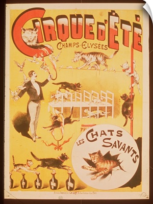 Poster advertising the Cirque d'Ete in the Champs Elysees, late 19th century